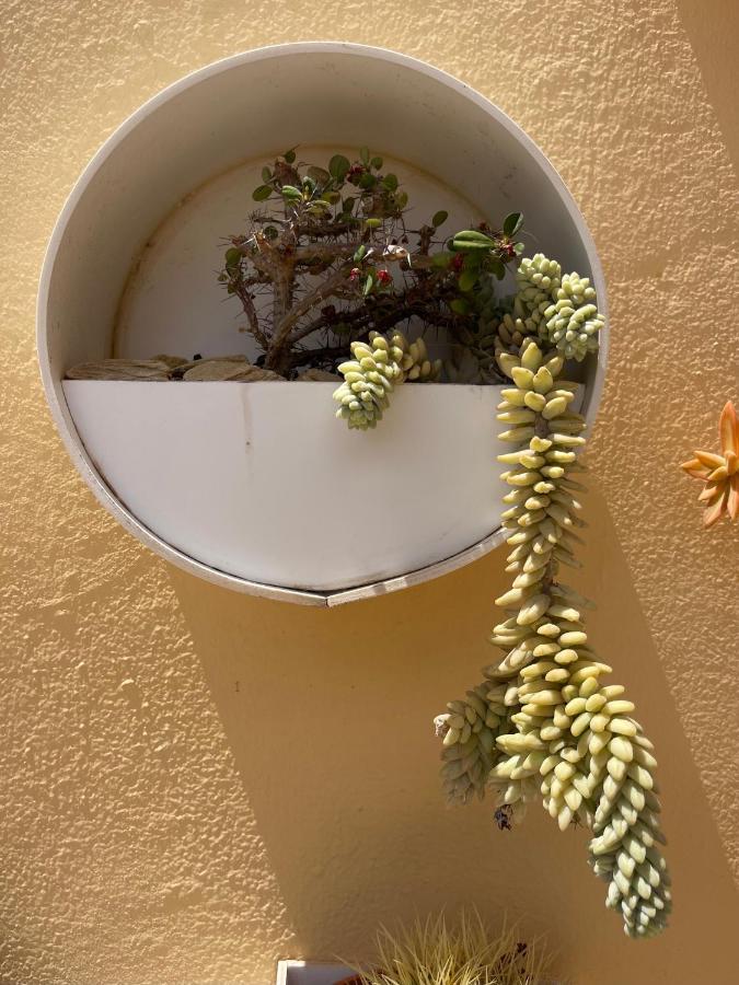 Ferienwohnung Eco House Golfinhos Corralejo Exterior foto